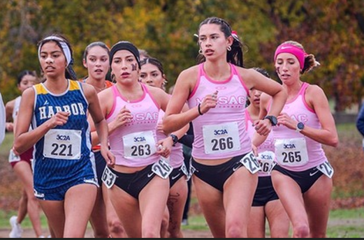 Mt. SAC Women's Cross Country Races To 4th State Title In 5 Years